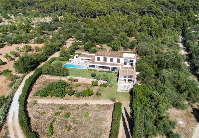 Villa in Andratx - M4r 02. Can Parra Port de Andratx