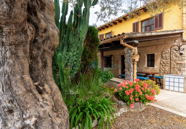 Country house in Pollensa - M4R Finca Montuiri